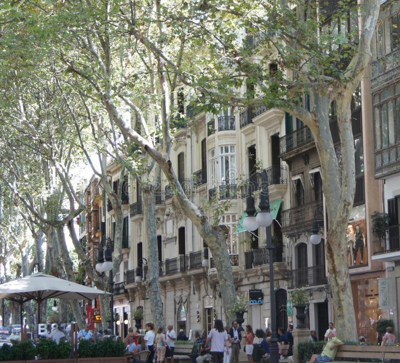 Rambla Palma Center Hotel Exterior foto